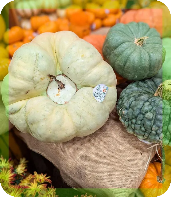 상속세 절세 가이드 지금 알아야 할 필수 전략은