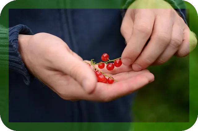 상속세 절세 가이드 지금 알아야 할 필수 전략은