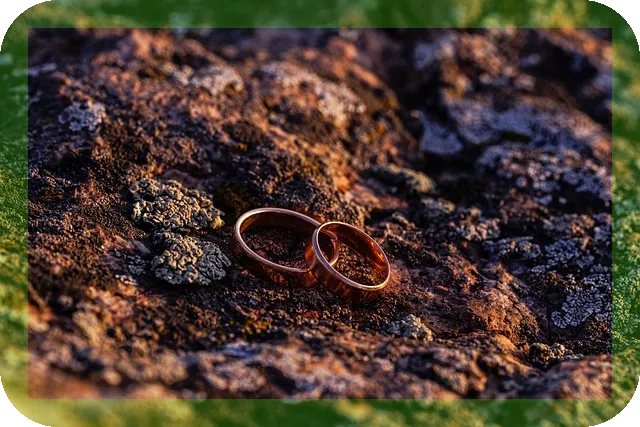 상속세 절세 가이드 지금 알아야 할 필수 전략은