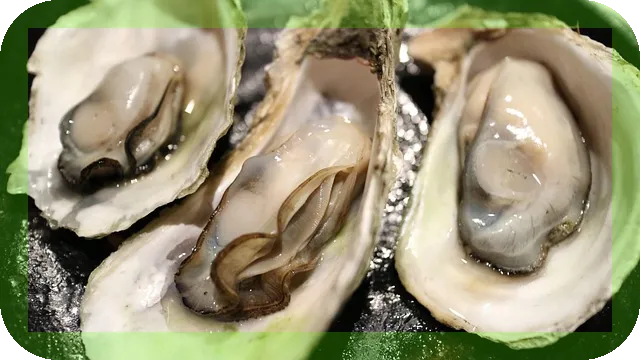 서울근교 가족여행지 추천 김포한강오토캠핑장 완벽 가이드