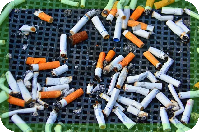 성인 남성 필수로 섭취해야할 영양제 3가지 공개