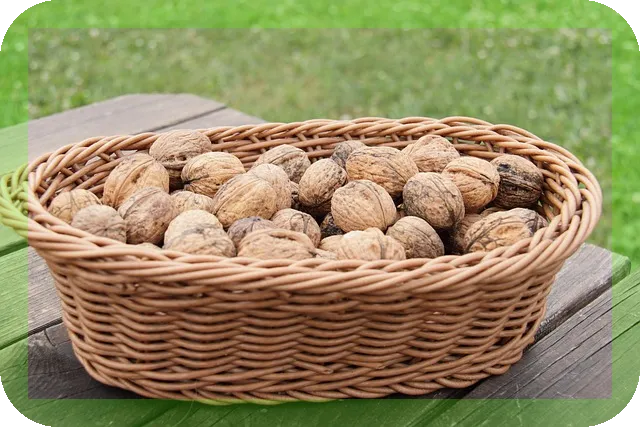 성인 여성이 필수로 섭취해야할 영양성분 흙염소효능은
