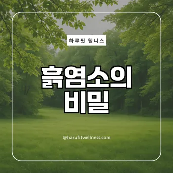 성인 여성이 필수로 섭취해야할 영양성분 흙염소효능은