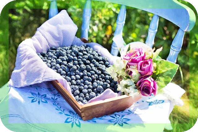 세계 10대 슈퍼푸드 효능과 하루 권장 섭취량은?