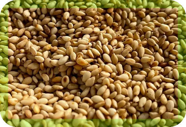 세계 10대 슈퍼푸드 효능과 하루 권장 섭취량은?