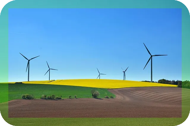 소식하는 사람이 오래산다 궁금하지 않으신가요