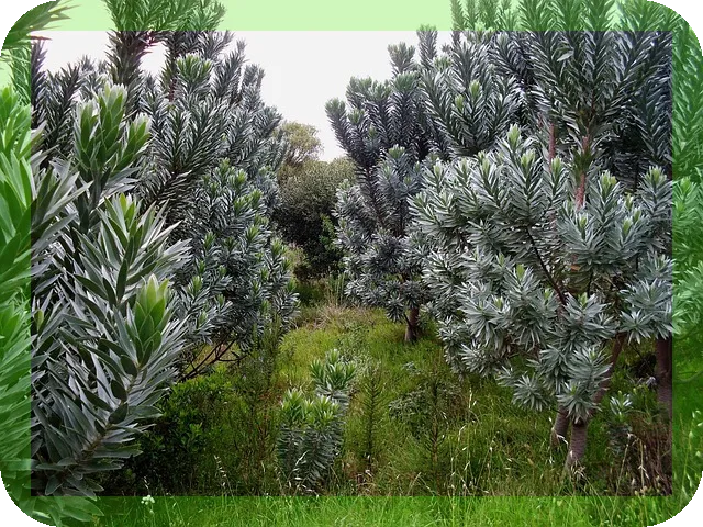 실버타운 선택시 고려해야할 것들? 알아보자