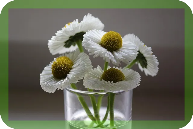 실버타운 선택시 고려해야할 것들? 알아보자