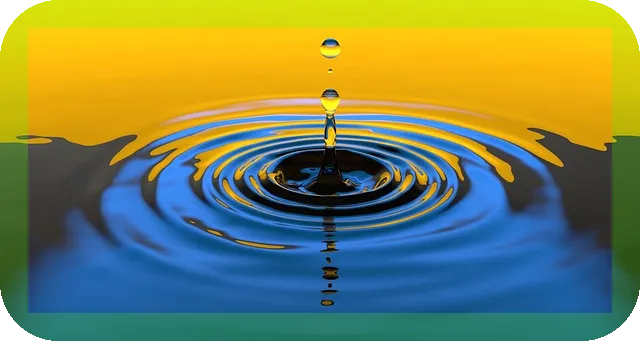 양파즙 효능과 추천 제품은?