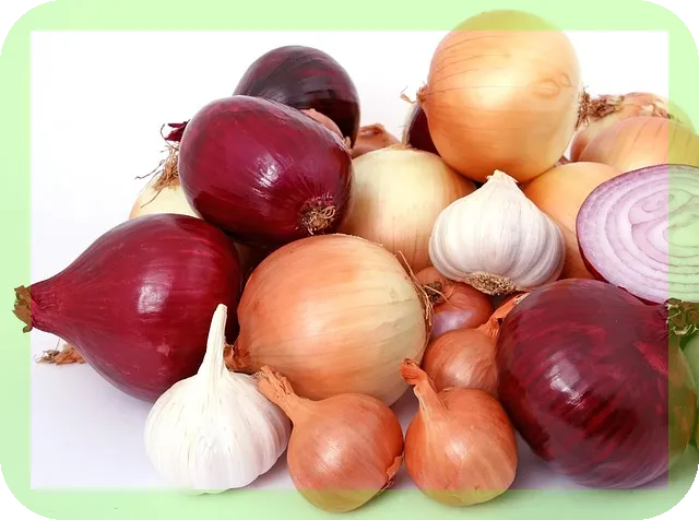양파즙 효능과 추천 제품은?