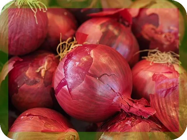 양파즙 효능과 추천 제품은?