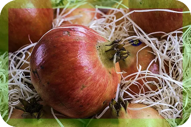 엑스트라버진올리브유 바로알고 먹자 건강과 맛이 공존하는 비결은?