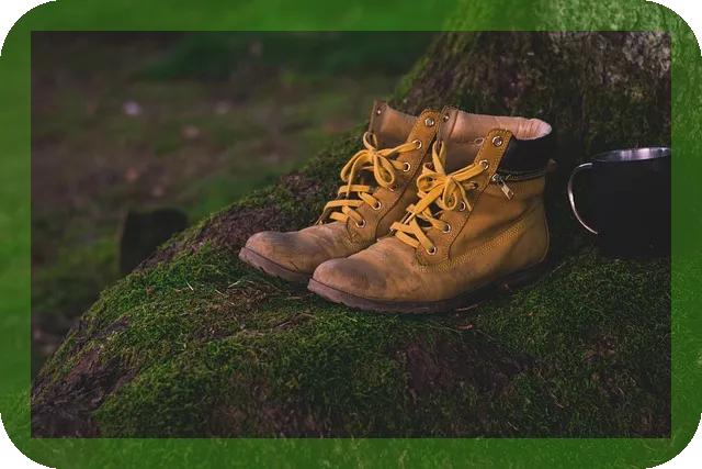 연말정산 완벽가이드 2025년 어떻게 준비할까