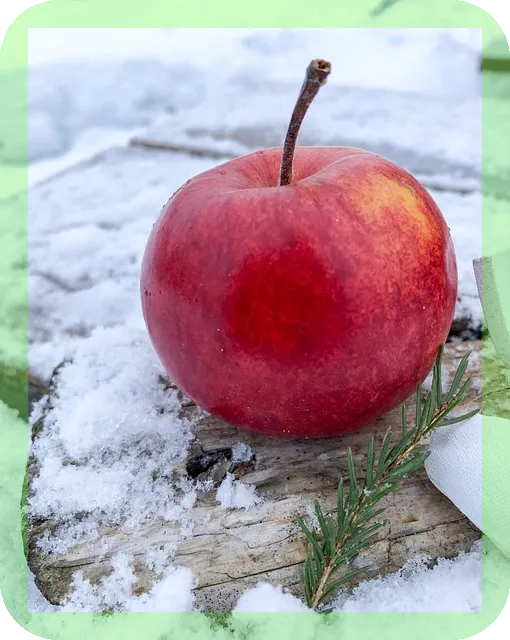 오메가3 바로알고 먹자 건강 챙기기