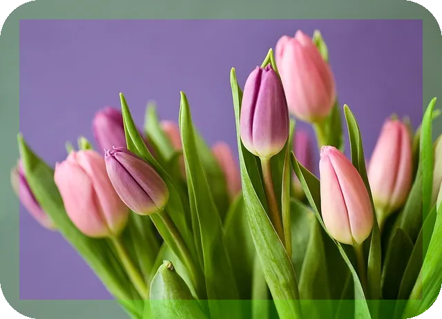 오메가3 바로알고 먹자 건강 챙기기