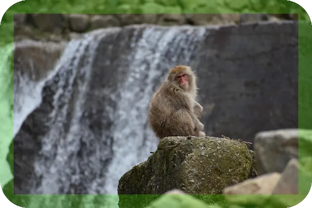 온천여행지 추천 우레시노 사쿠라호텔의 매력은?