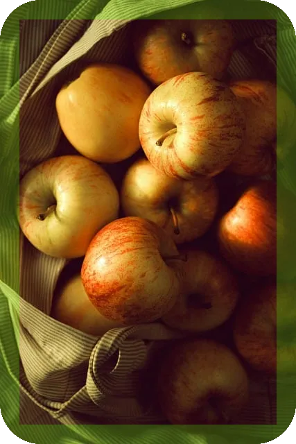 우리아이 필수섭취 영양제리스트 알아보기