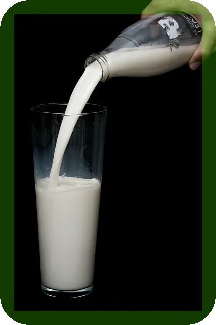 우리아이 필수섭취 영양제리스트 알아보기