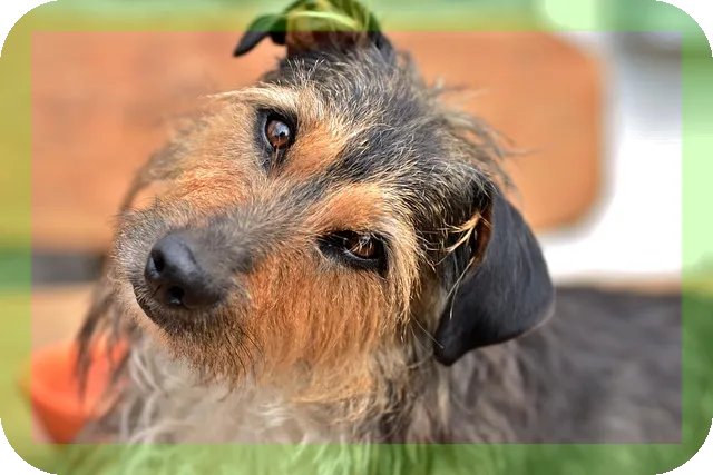 우리아이 필수섭취 영양제리스트 알아보기