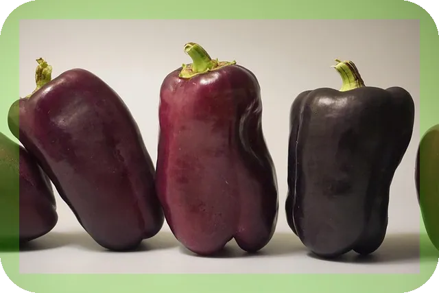 우리아이 필수섭취 영양제리스트 알아보기