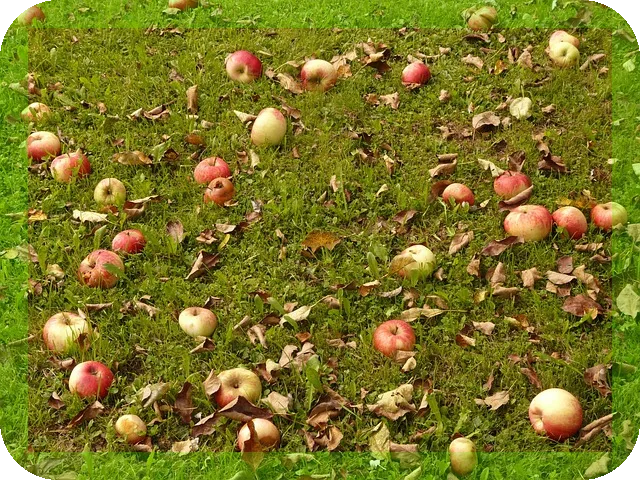 종합비타민약 꼭 먹어야하나요? 당신의 선택은