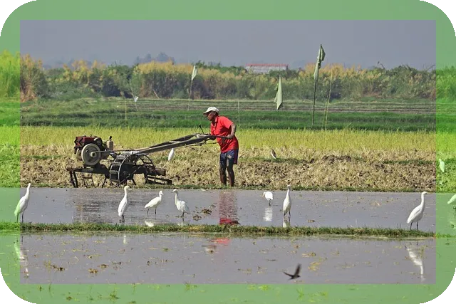 집에서 간단히 따라하는 목 스트레칭으로 거북목 해결하기