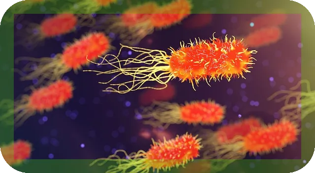 철분 영양제 선택가이드로 남성 건강 지키기