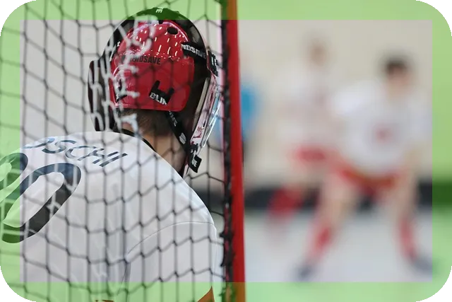 파이어족을 위한 은퇴준비 점검은 어떻게 할까