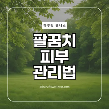 팔꿈치 매끄럽게 관리하는법, 잃어버린 피부를 회복하는 비결은?