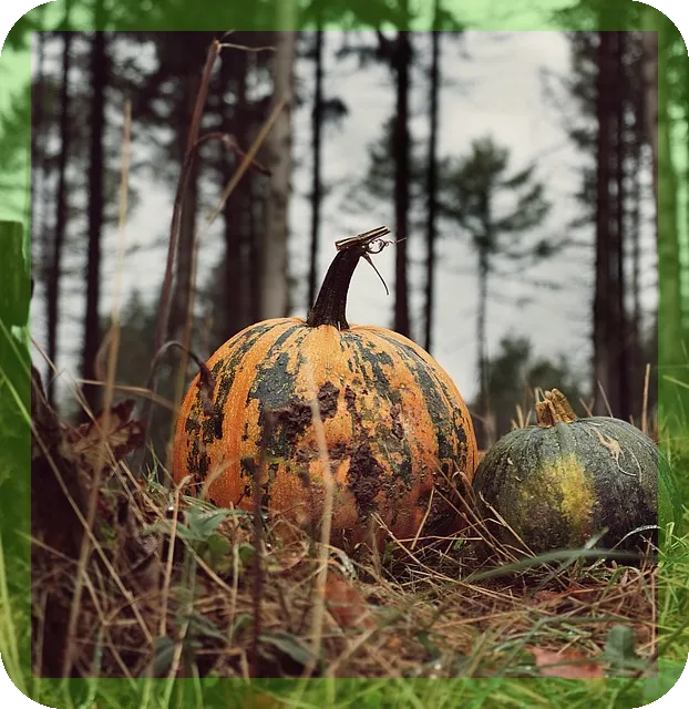 항암식단표 가이드, 건강한 삶의 첫걸음은?